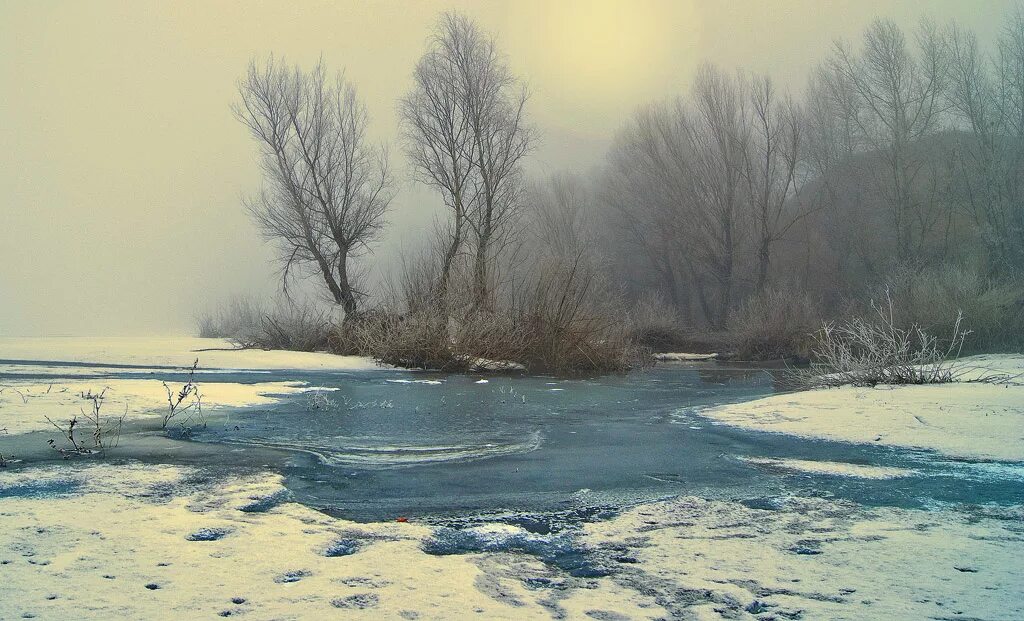 тверская область туман. дымка утро. сестрорецкое болото в тумане. турсунтский туман озеро. тающие туманы.
