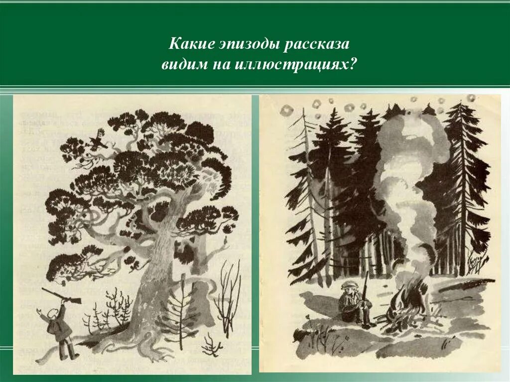 Рисунок по литературе васюткино озеро. Васюткино озеро. Иллюстрации к произведениям Астафьева в.п.. Иллюстрация к рассказу Васюткино озеро. Рисунок к произведению Васюткино озеро.