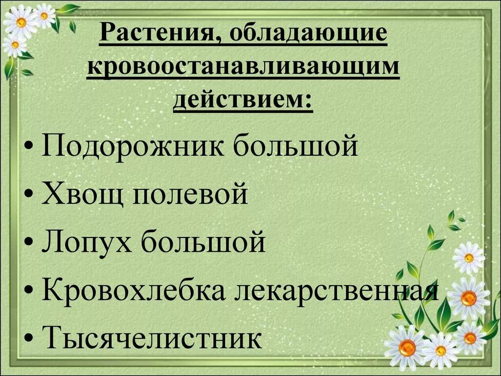 Какими свойствами обладает трава. Лекарственные травы, обладающие кровоостанавливающим действием. Лекарственные растения с кровоостанавливающим действием. Растения кровоостанавливающего действия. Лекарственные растения обладающие гемостатическим действием.