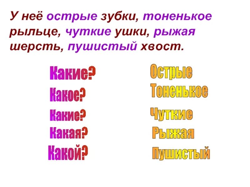 Пушистый какое прилагательное. Пушистый прилагательное. чуткие прилагательное. хвост это прилагательное. зубки острые рыльце тоненькое.