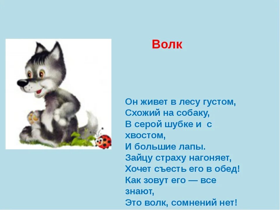 Серый волк в густом лесу встретил. Стих про волка для детей. стихотворение про волка для детей. детские стишки про волка. детские стихи про волков.