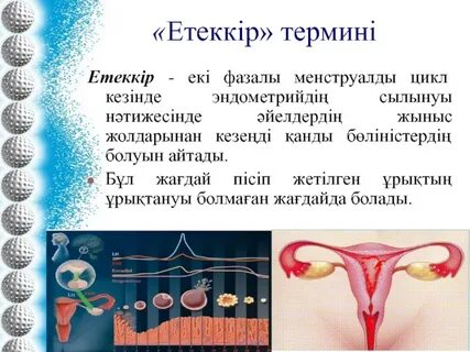 Толық жетілген әйелдердің фотосуреттері