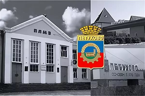 Объявление г петухово