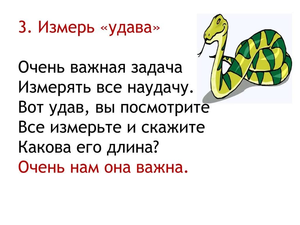 Считают удава. Удав. Загадка про удава. Измерение удава. Длина удава.