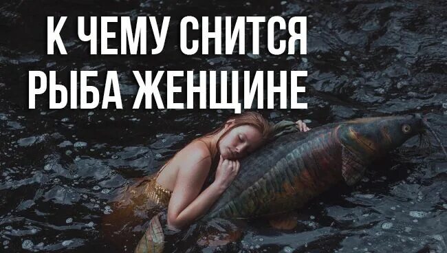 К чему снится рыба человек. К чему снится рыба во сне. к чему снится рыба женщине. рыба во сне для женщины к чему. видеть во сне рыбу для женщины.
