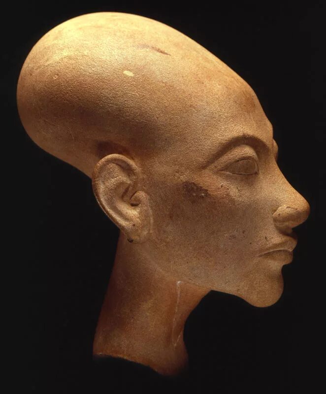 Люди с длинной головой. Голова Нефертити Эхнатон. Нефертити тутмос. Эхнатон фараон Египта череп. Нефертити Эхнатон Имхотеп.