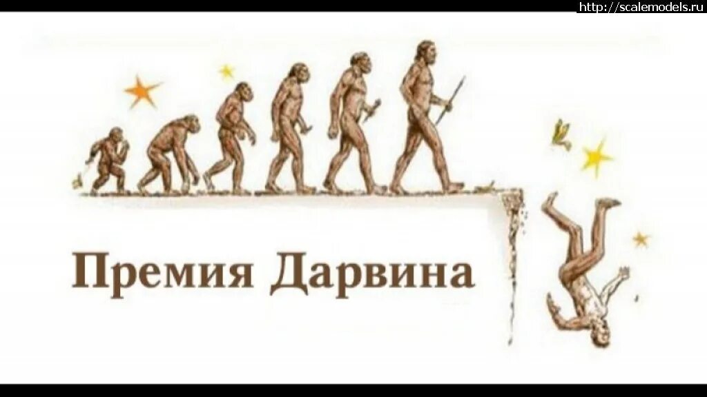 Премия Чарльза Дарвина. Премия Дарвина награда. За что дается премия Дарвина. Премия Дарвина картинки.