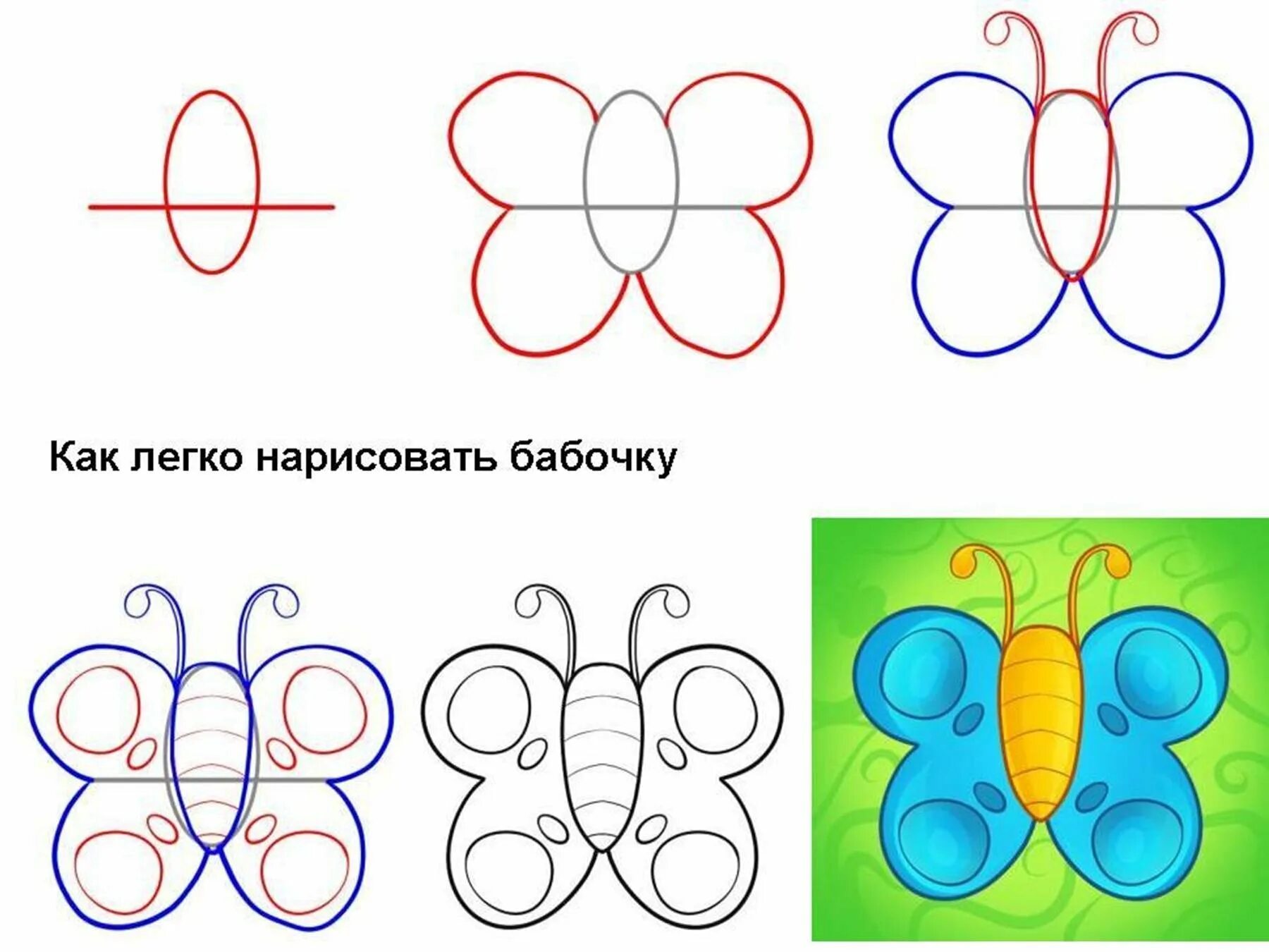 Как нарисовать бабочку поэтапно. Поэтапное рисование бабочки. Рисуем бабочку поэтапно. Как нарисовать бабочку легко. Раскраска поэтапно