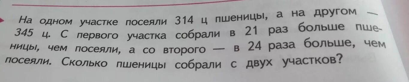 На одном участке посеяли