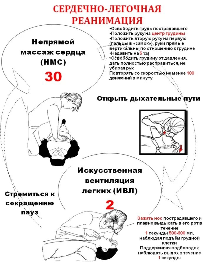 Реанимация взрослых алгоритм