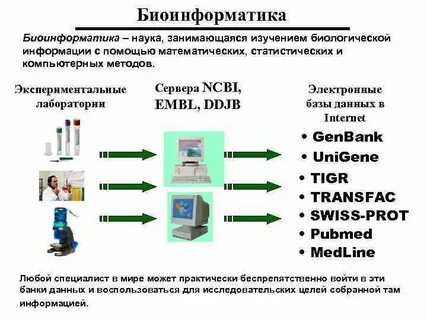 Наука занимающаяся изучением развития
