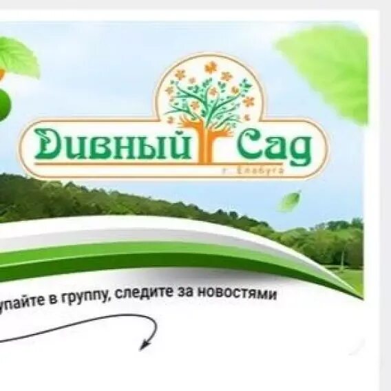 магазин дивный сад