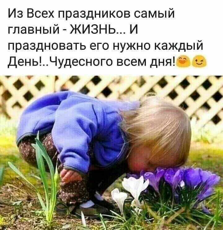 Главное не торописса не волновасса и улыбасса. Свет в ладонях. Есть цитата. Цветы для детей. Вот и закончился сентябрь.