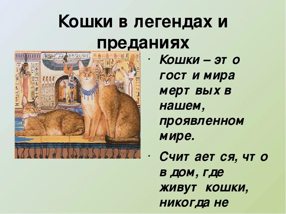 История слова кот. Легенда о кошке. легенды о кошках для детей. текст про кошку. слово кот.