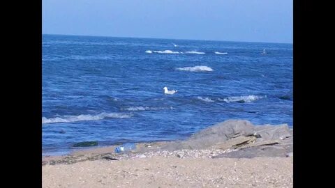 Каспийское море в июле