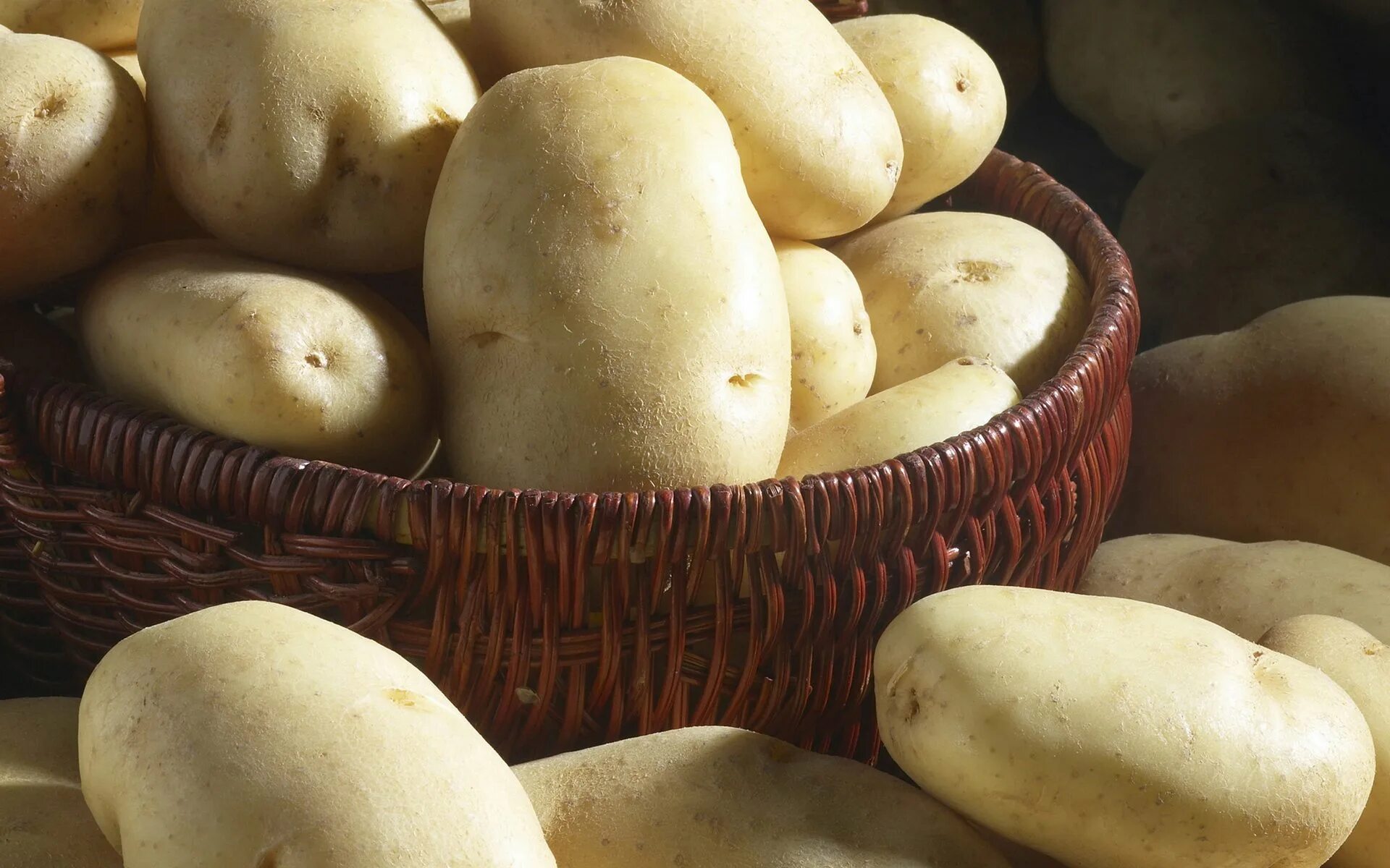 Картошка овощ или фрукт. Сорт картофеля Никулинский. Сорта картофеля чароит. Семенной картофель Никулинский.