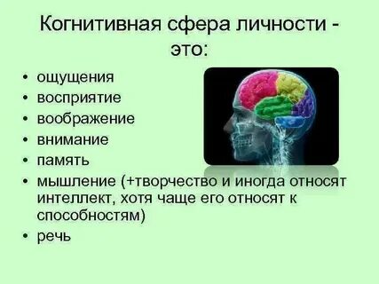 Да в этой сфере