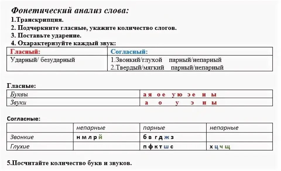 Фонетический анализ слова всегда