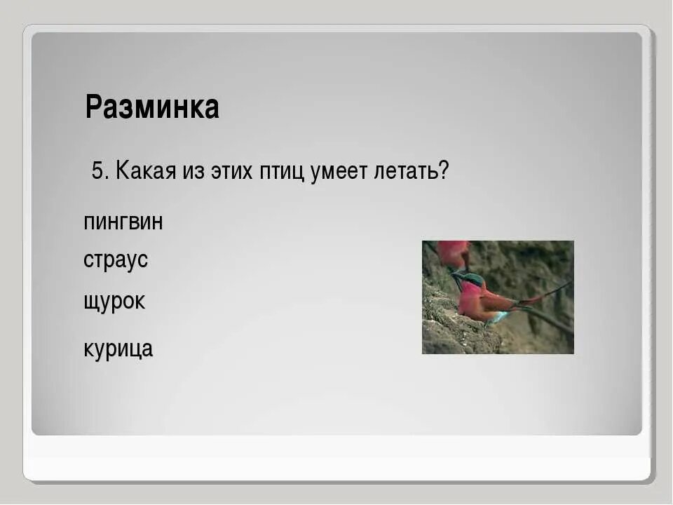 Что умеют птицы. Что не умеют птицы. Птицы не умеющие летать. Какая птица умеет летать назад.