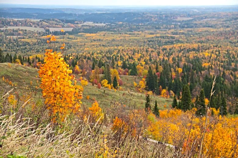 г кунгур пермский край зимой. погода теплая кунгурский. район засылва кунгур.