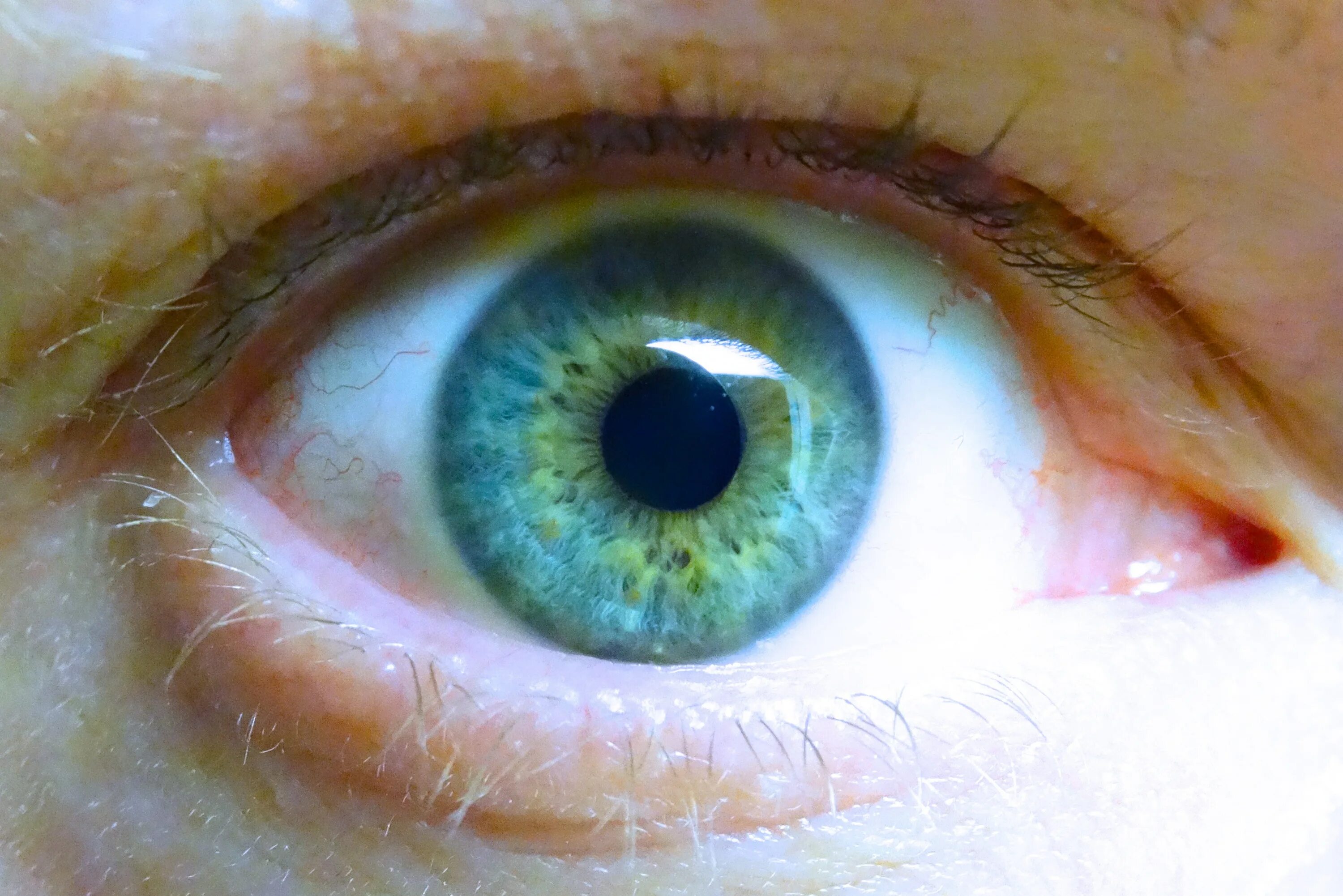Радужка глаза. Зеленая радужка. Голубая радужка глаза. Зелёно-голубые глаза. Глаза меняются от настроения