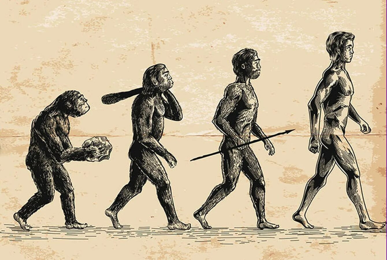 Древние люди Эволюция. Эволюция человека от обезьяны. Эволюция из обезьяны в человека. Труд создал из обезьяны человека. Процесс превращения человека в обезьяну