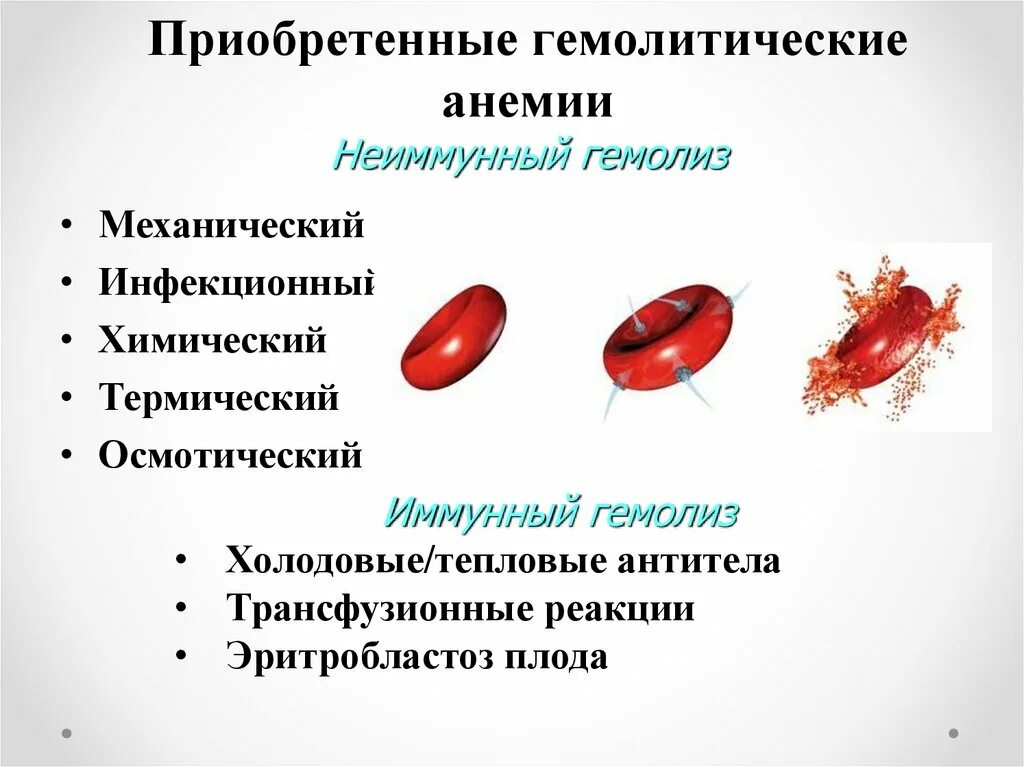 Аутоиммунная гемолитическая анемия. Приобретенные гемолитические анемии. Приобретенные гемолитические анемии у детей. Приобретённые гемолитический анпмии. Врожденные гемолитические анемии
