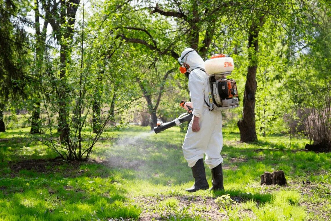 обработка от клещей на участке. обработка от клещей на участке. дезинсекция клещей. обработаем участок от клещей. дезинсекция комаров.