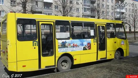 Почему автобусы желтые