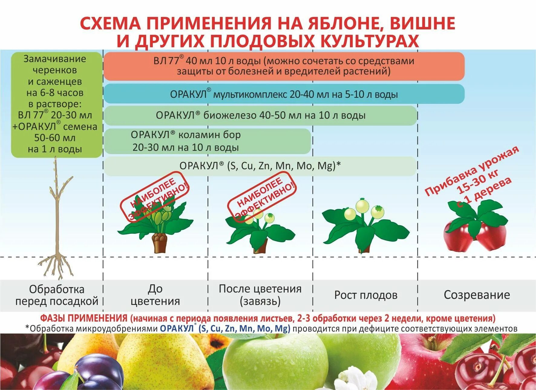 Подкормка фруктовых деревьев весной. Схема удобрения плодовых деревьев. Плодово Ягодное удобрение. Схема подкормки вишни. Подкормка фруктовых деревьев.