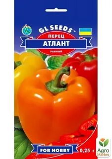 Перец атлант