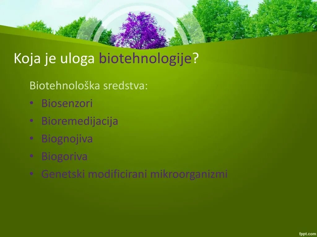 О бережном отношении к природе. Необходимость бережного отношения к природе. Отношение к природе проект. Бережное отношение к природе презентация. Написать о бережном отношении к природе