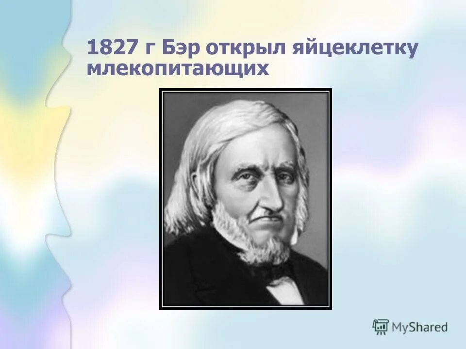 Карл бэр открытие клетки. Какую клетку открыл бэр. Карл бэр клеточная теория. Бэр достижения. Карл бэр клеточная теория.