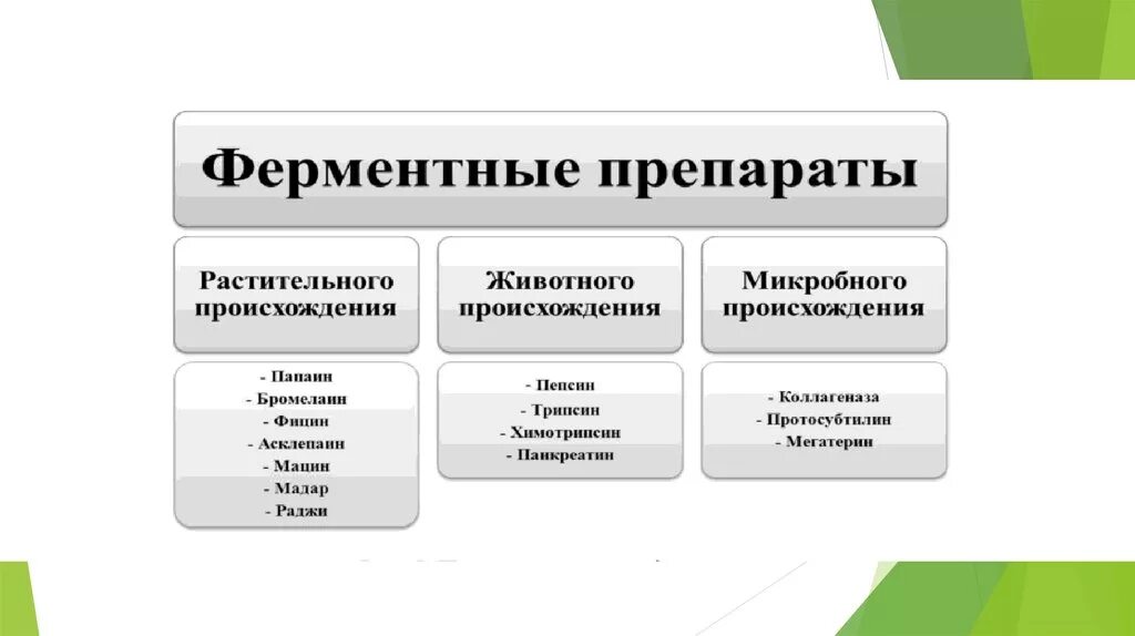 Ферменты растительного происхождения. Ферментные препараты растительного происхождения. Ферментные препараты животного происхождения. Ферменты животного и растительного происхождения. Ферменты растительного происхождения препараты.