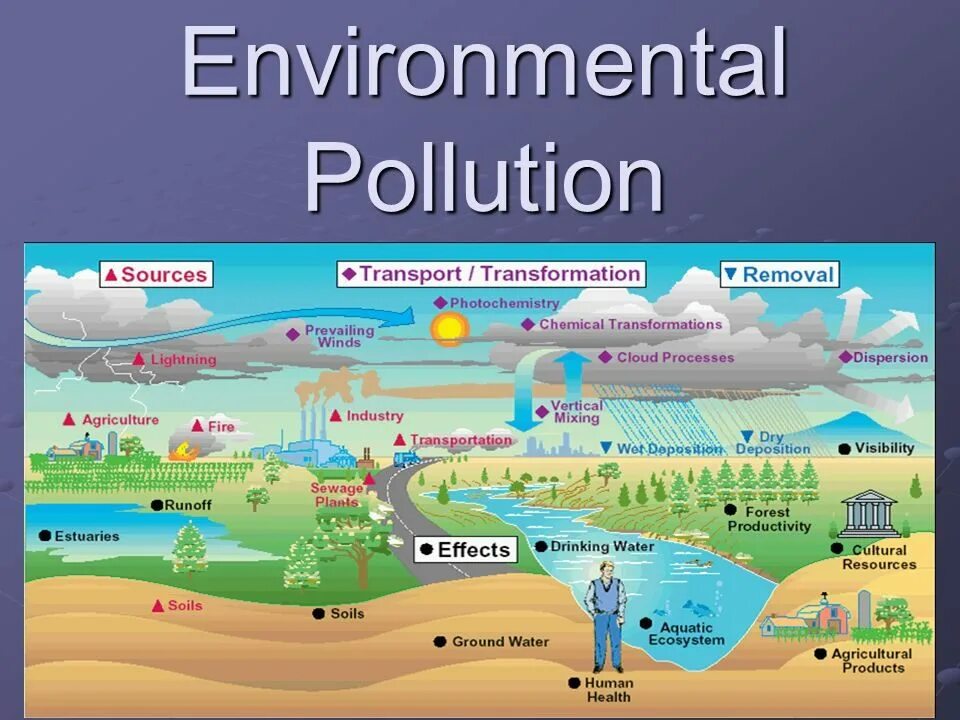 Main winds. “Environmental pollution". Плакаты. Effects of Air pollution. What are the Effects of Air pollution?. Air pollution for Kids.