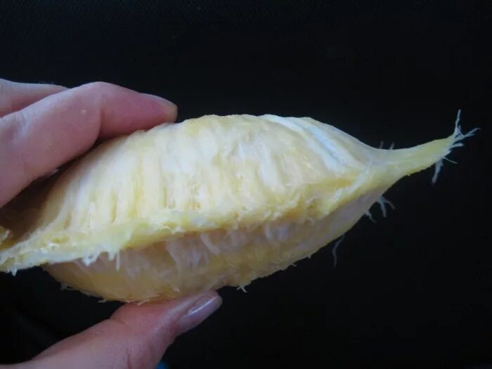 фрукт с острова борнео бам-балан. фрукты бам бам. фрукты бам бам. бам-балан фрукт. фрукты бам бам.