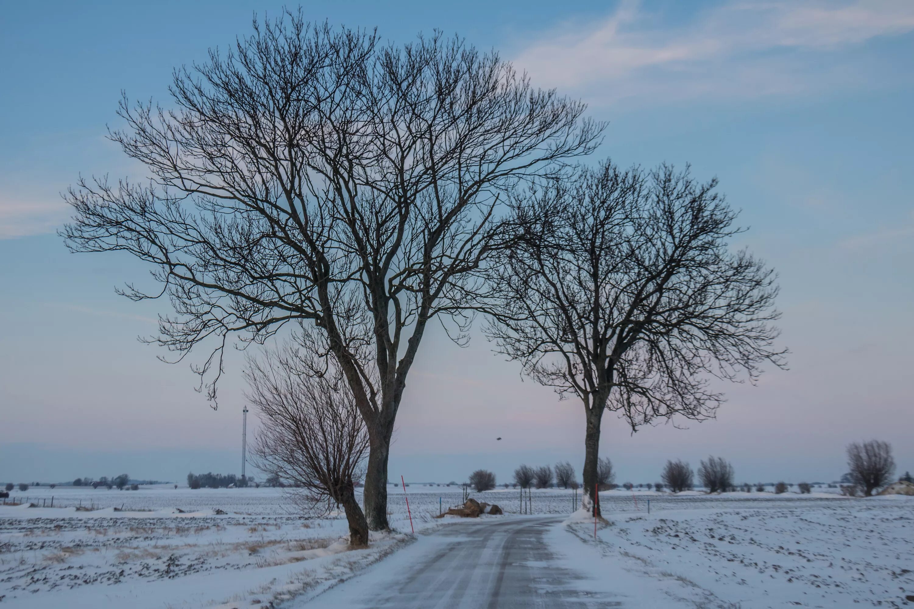 Какая погода в дерево. Saryjaz kr Winter. Деревого погодя Финляндия. Погода из деревьев. Winter Chillz.