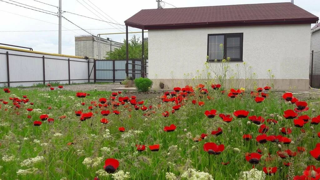 Буденновск ставропольский край 1. Будённовск светлая улица. Арзгир гостиница. Буденновск ул светлая 1. Отель в Буденновске Ставропольский край.