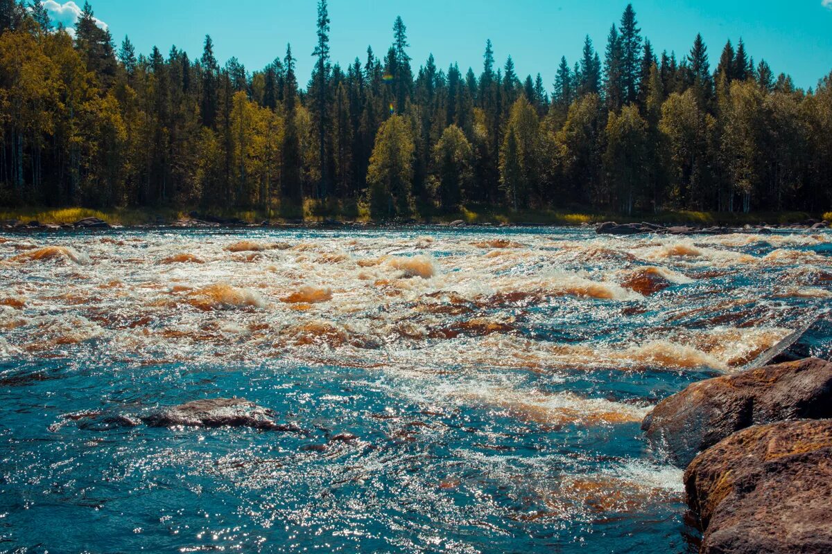 Река суна. Река суна карелия. река кепа карелия. порожистые реки карелии. вальяканйоки карелия река.