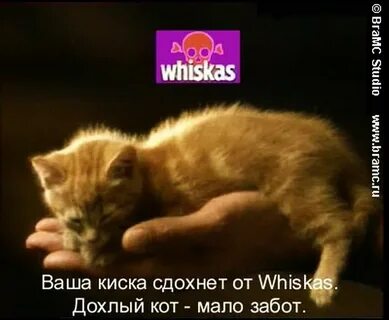 Меньше забот