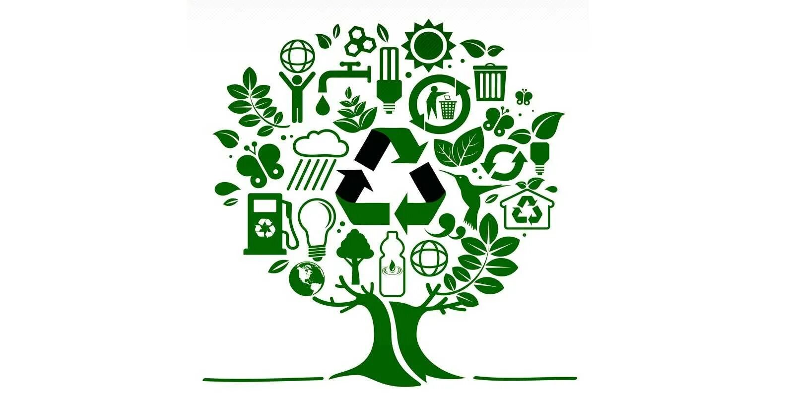 Сочувствующий зеленым эколог 9 букв. Эмблема экологии. Экология на белом фоне. Символ экологии. Экологический орнамент.