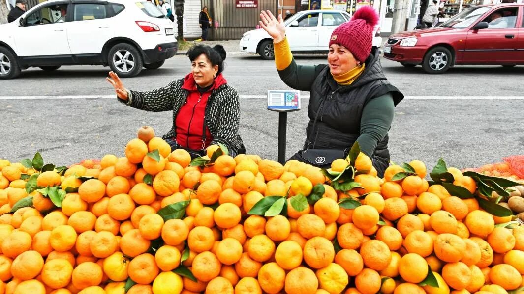 Плодоножка мандарина. Нектарин клементин мандарин апельсин. Мандариновая лихорадка. Мандариновая лихорадка. Апельсиновое настроение.