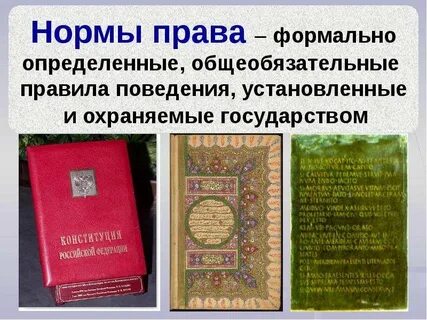 Обязательное правило поведения установленное государством