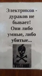 Дураки бывают