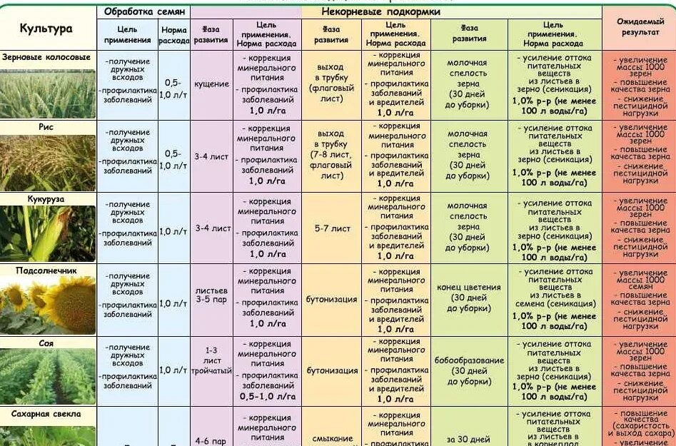 Какое практическое значение для садоводов