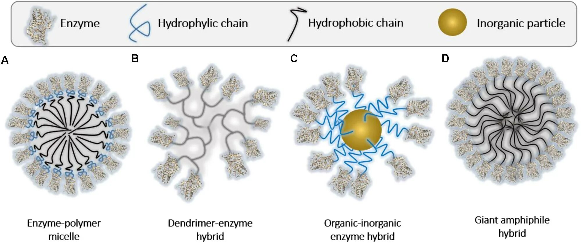 Genipin Enzyme immobilization. Нанореактор Дендример. Звездообразный Дендример. Micelle. Пав энзимы