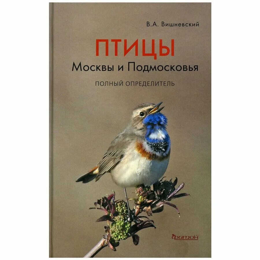 Вишневский птицы. Птицы Подмосковья определитель Вишневский.