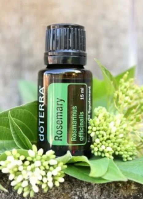 Цитронелла дотерра. Масло цитронелла дотерра. тулси дотерра. doterra rosemary.