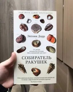 Книга ракушек
