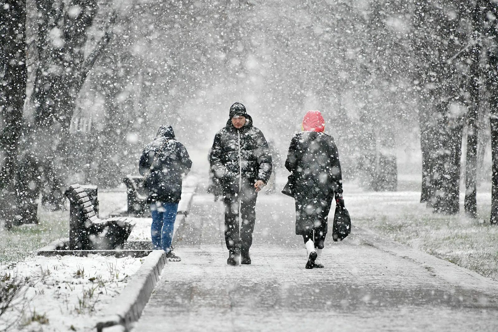 Сильный снегопад. Сильный снег. Мокрый снег. Сильный снегопад в Москве.